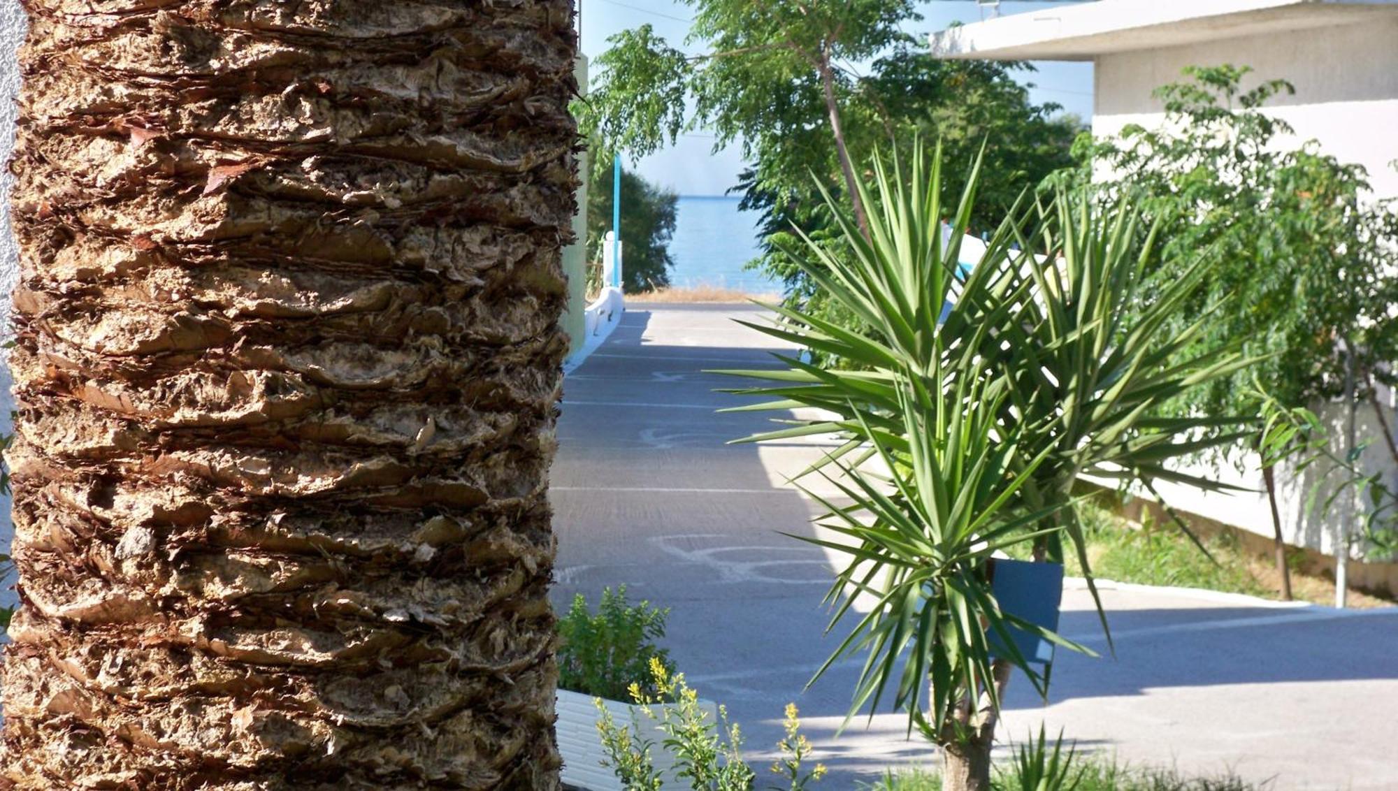 Aphrodite Hotel&Suites Marathókampos Exteriér fotografie